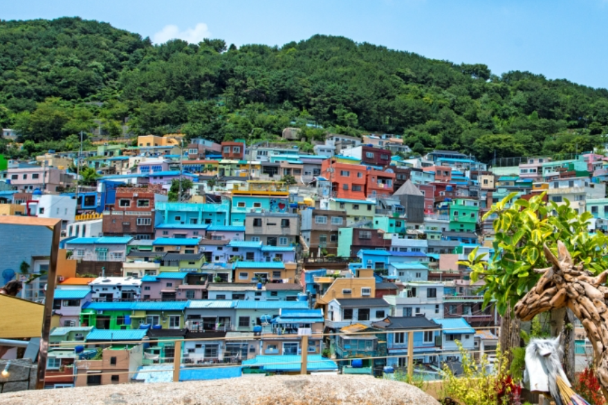 Best Time to Visit Korea 2026: Season-by-Season Guide